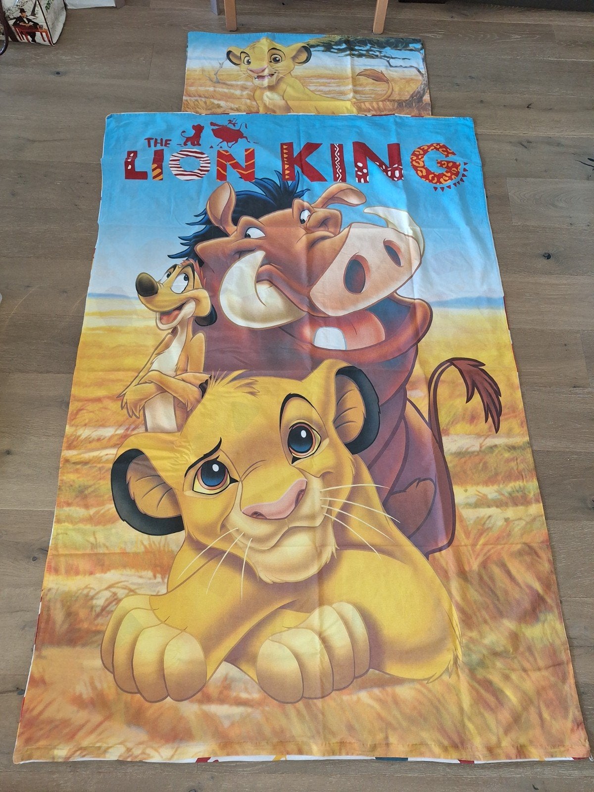 Donsdekenovertrek The lion king 130200, Enlèvement