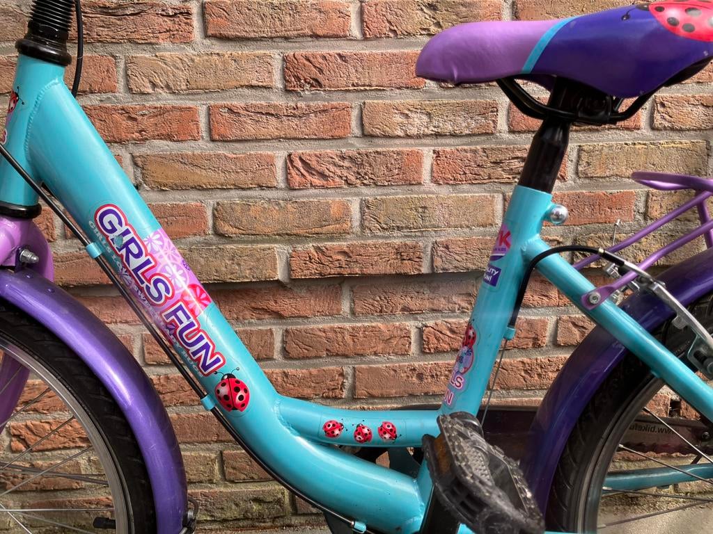 Meisjesfiets 20 inch, Fietsen en Brommers, Ophalen, Gebruikt, Versnellingen, Schijfrem