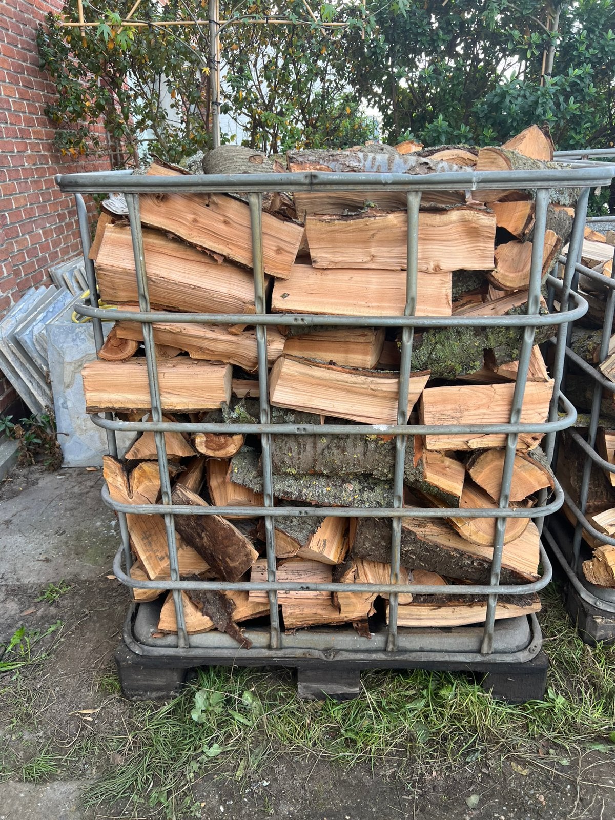 Brandhout kers, Ophalen
