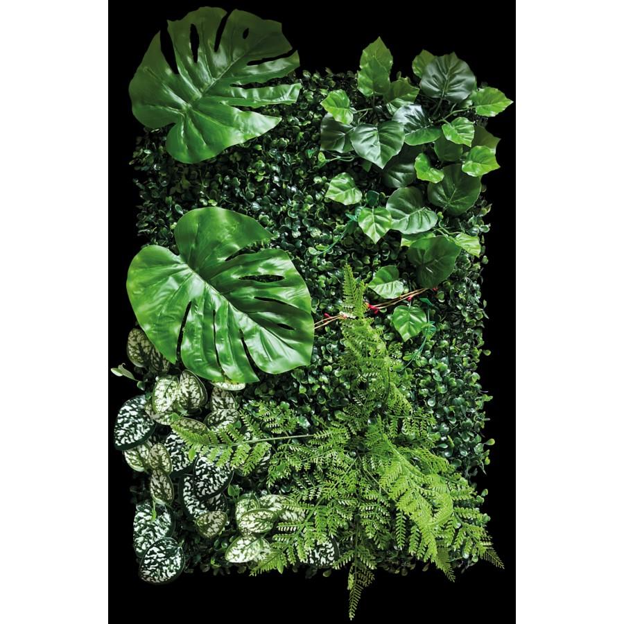 Terrarium achterwand, Enlèvement ou Envoi