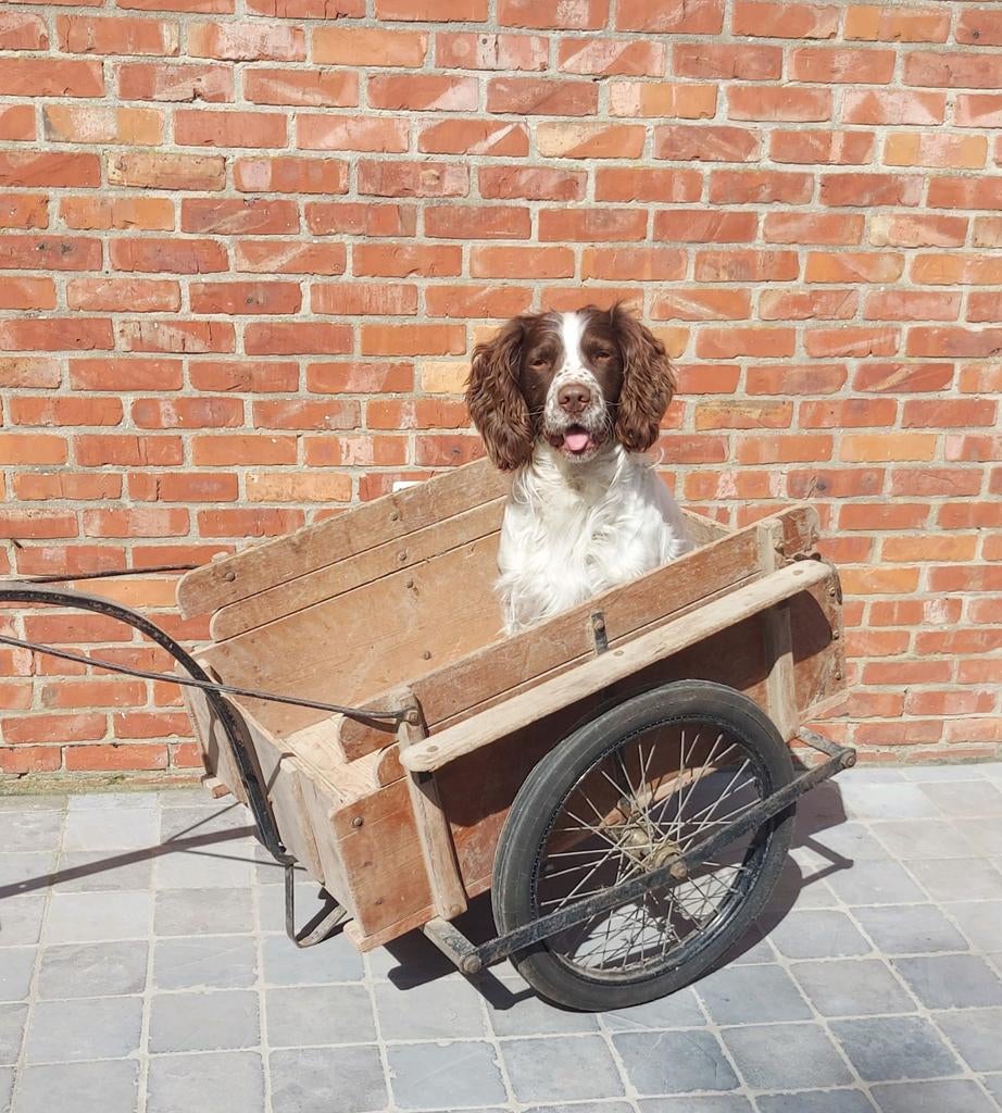 Brocante bolderkar, Caravans en Kamperen, Bolderkarren, Ophalen