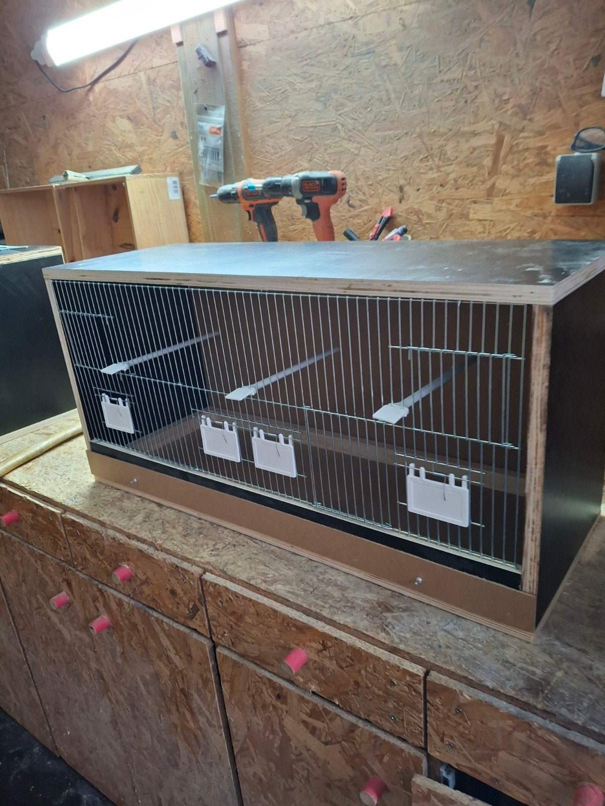 nieuw vogelkooi, Ophalen, Nieuw, Hout, Broedkooi of Kweekkooi