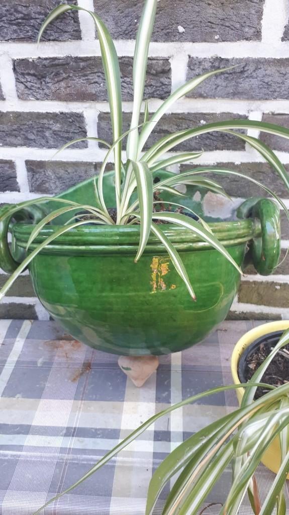 Jardinière vintage/porte-plantes/pot de fleurs France BIOT, Antiquités & Art, Curiosités & Brocante, Enlèvement ou Envoi