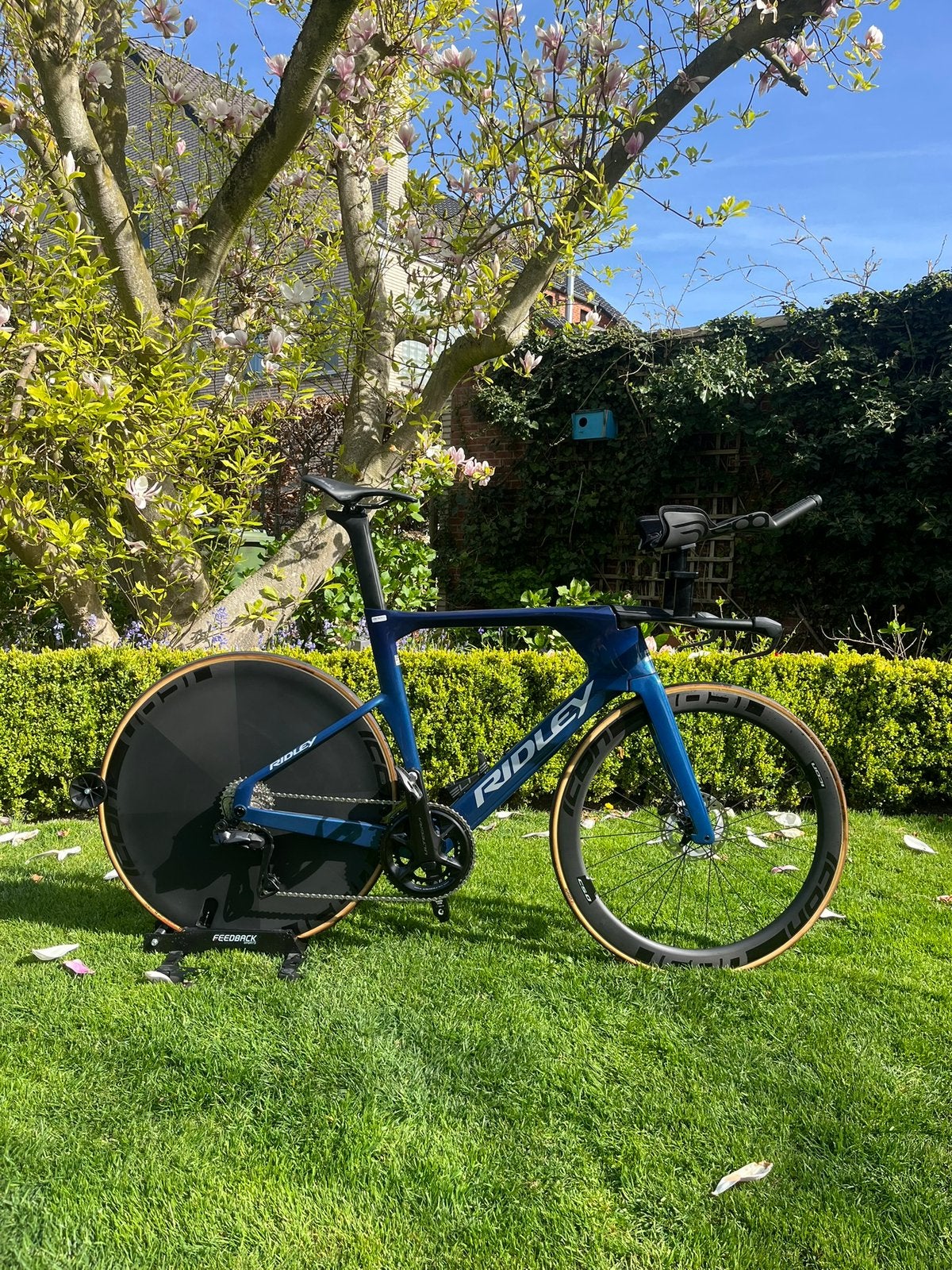 Ridley Dean Fast TT Bike 2025– NIEUW – Ultegra + Powermeter, Ophalen, Carbon