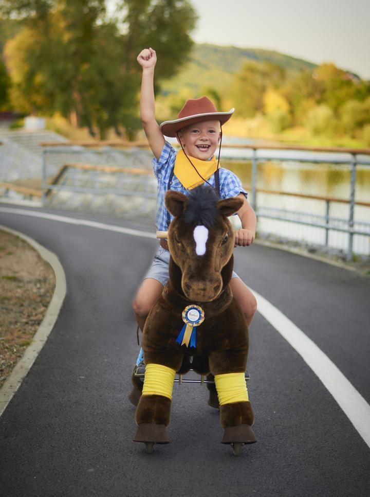 PonyCycle Donkerbruin Luxe versie voor Leeftijd 3-5 jaar, Enfants & Bébés, Enlèvement ou Envoi, Neuf