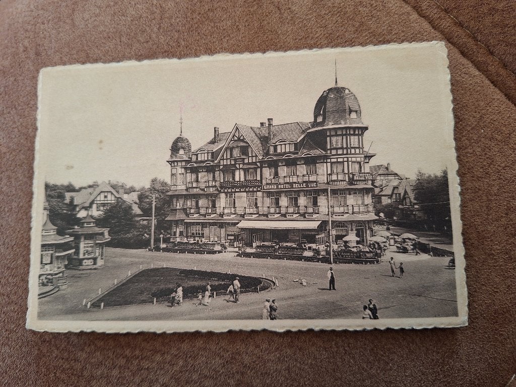 Postkaart De Haan, Verzamelen, Ophalen of Verzenden, Gelopen