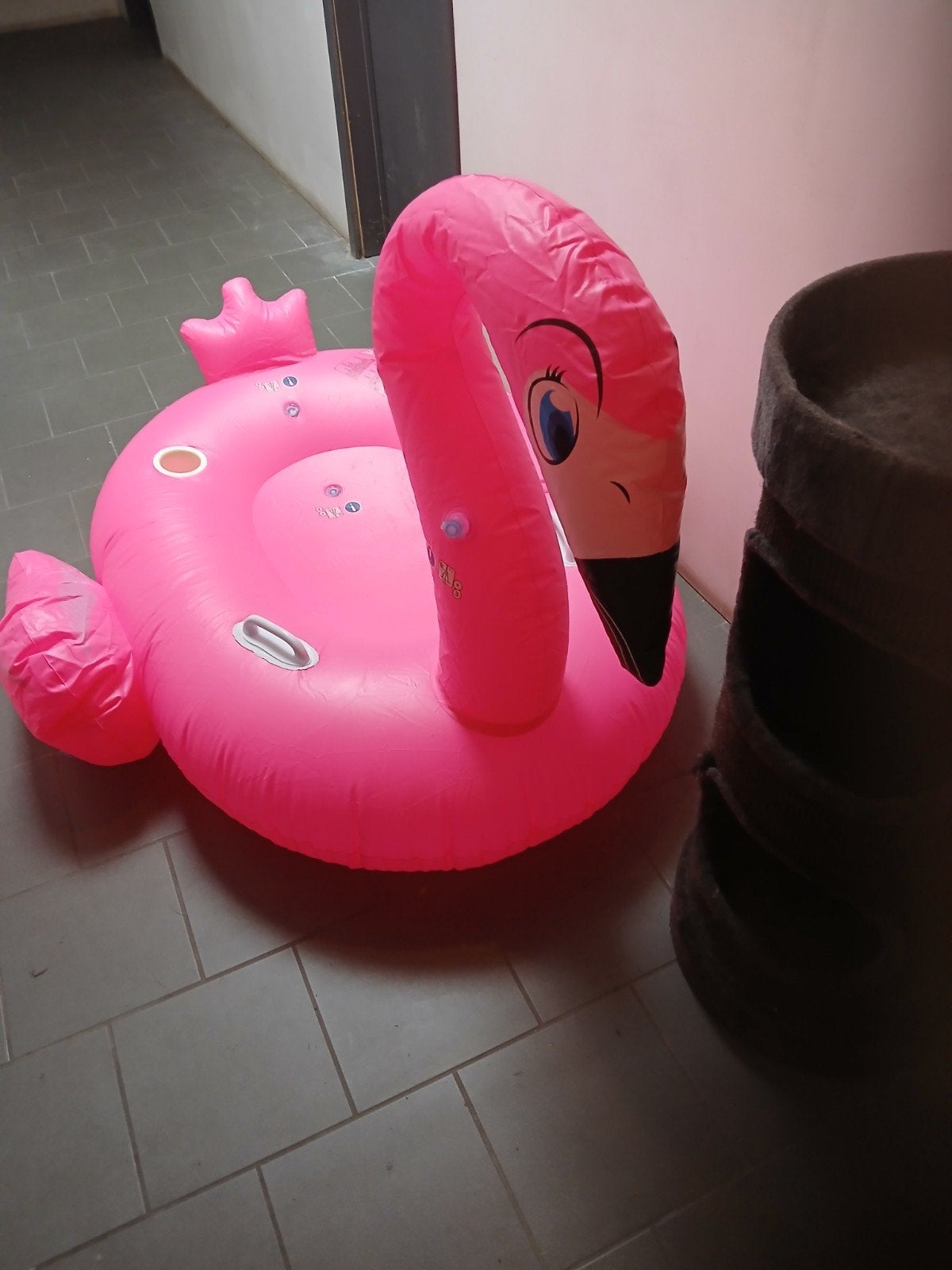 Grote roze flamingo, Ophalen