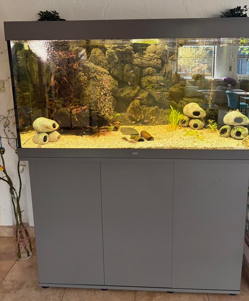 Juwel Rio 350 aquarium met alle toebehoren, Ophalen, Zo goed als nieuw, Gevuld zoetwateraquarium