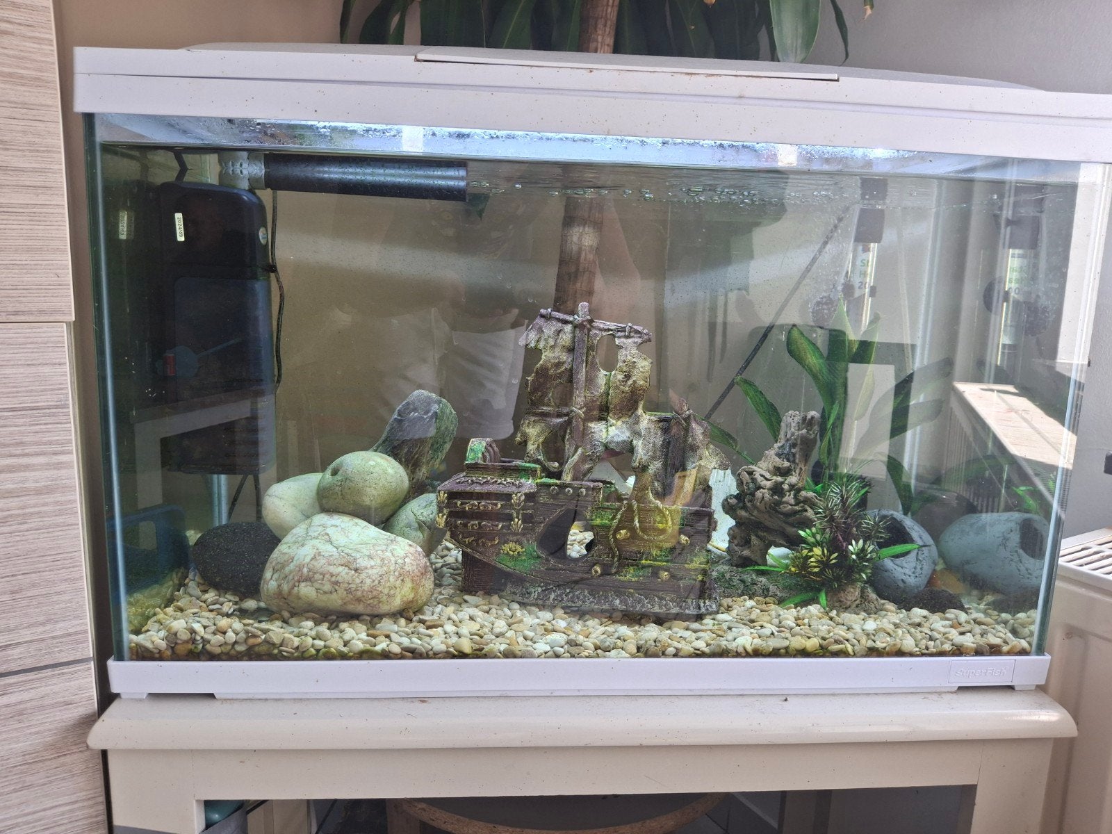 aquarium met vissen, Dieren en Toebehoren, Ophalen, Decoratie