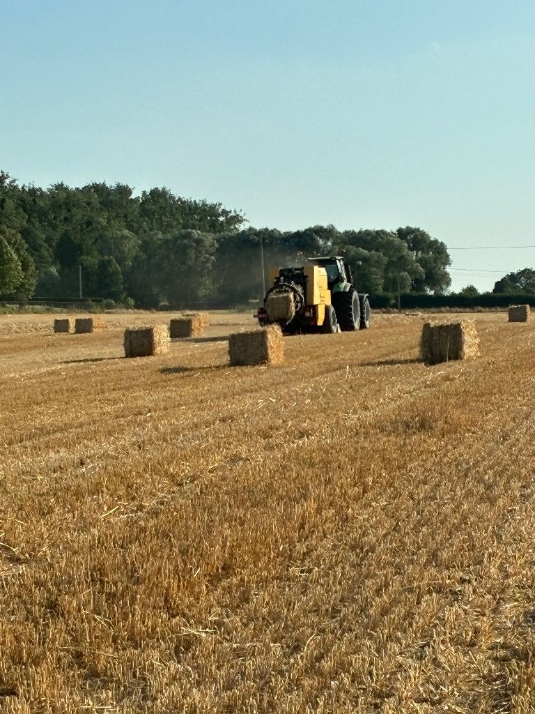 Stro, Dieren en Toebehoren