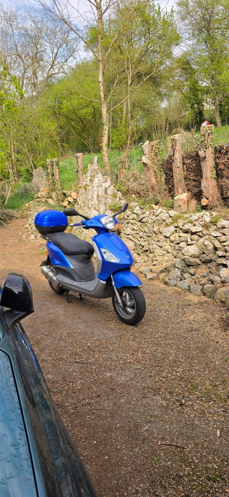 PIAGGIO FLY 125CC