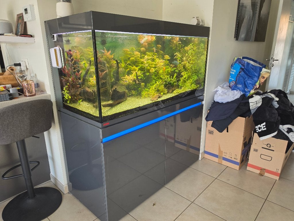 EHEIM 400L aquarium + pomp en alle accessoires, Dieren en Toebehoren, Ophalen, Gebruikt, Gevuld zoetwateraquarium, Inclusief vissen