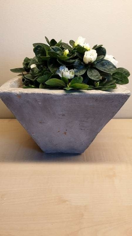Stenen konische bloempot, hoogte 16cm, diam boven 17cm, mooi, Tuin en Terras, Ophalen, Binnen