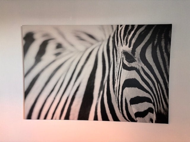 Cadre en toile Zebra, 75 cm ou plus, Enlèvement ou Envoi, Comme neuf, Autres types