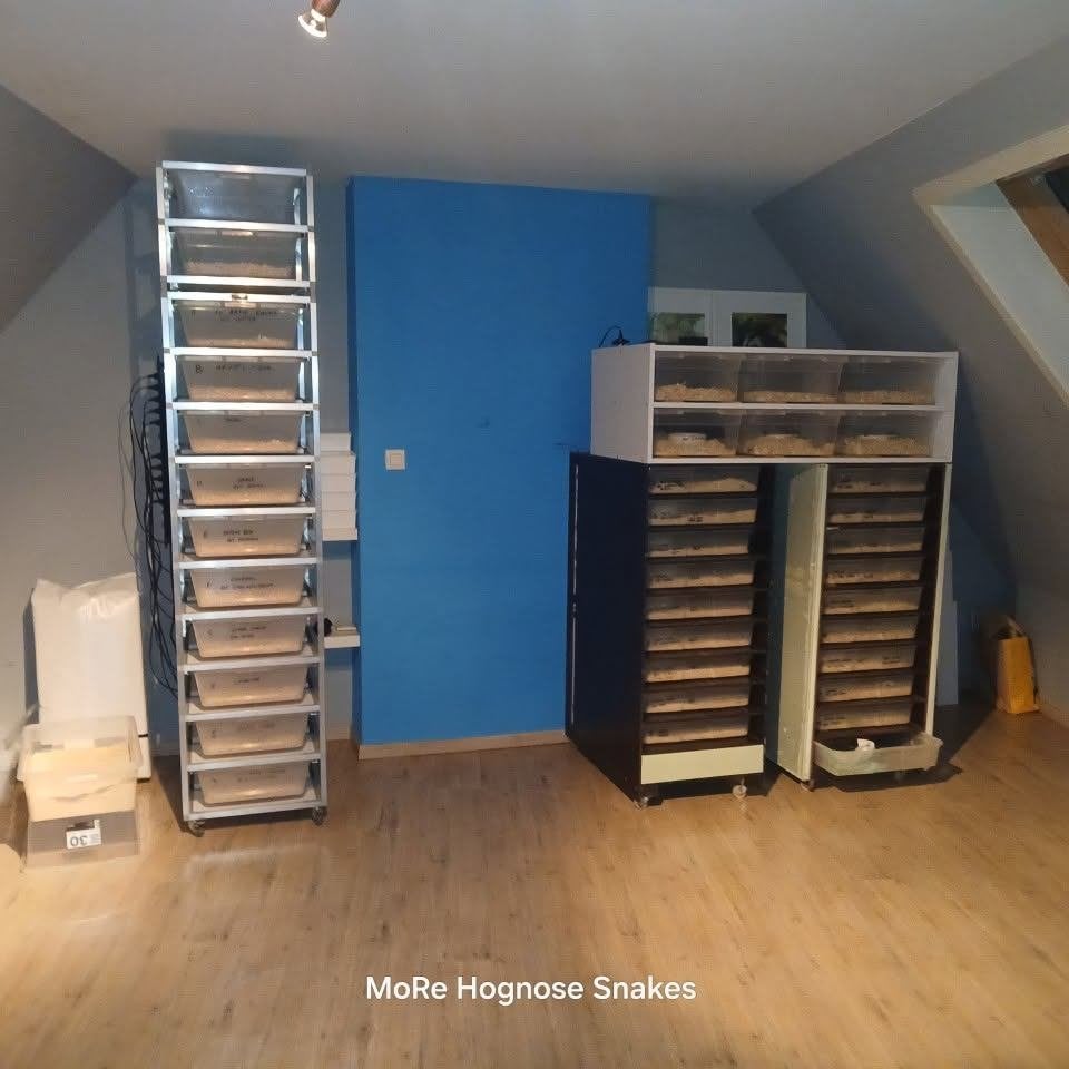 2 Slangenracks, Dieren en Toebehoren, Ophalen, Gebruikt
