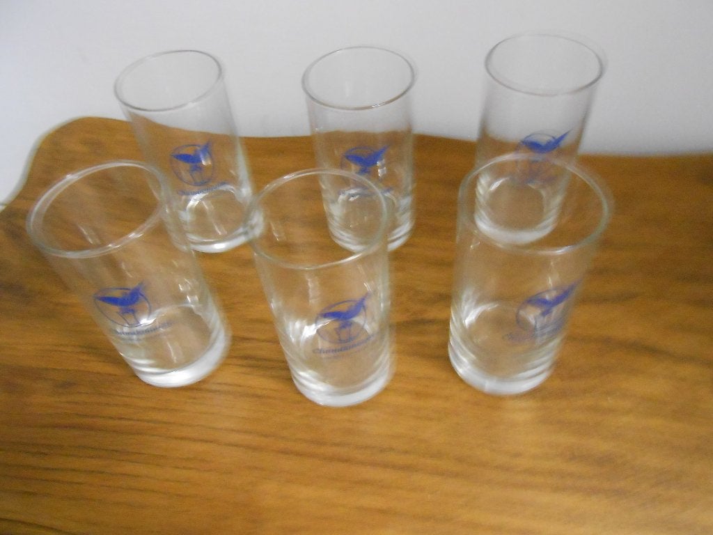 6 Chaudefontaine glazen, Ophalen of Verzenden, Zo goed als nieuw, Waterglas