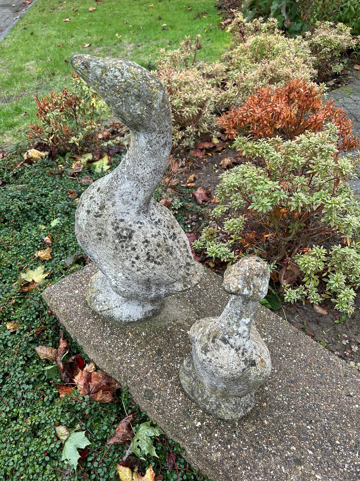 Twee ganzen als tuinbeeld, gratis, Ophalen, Gebruikt