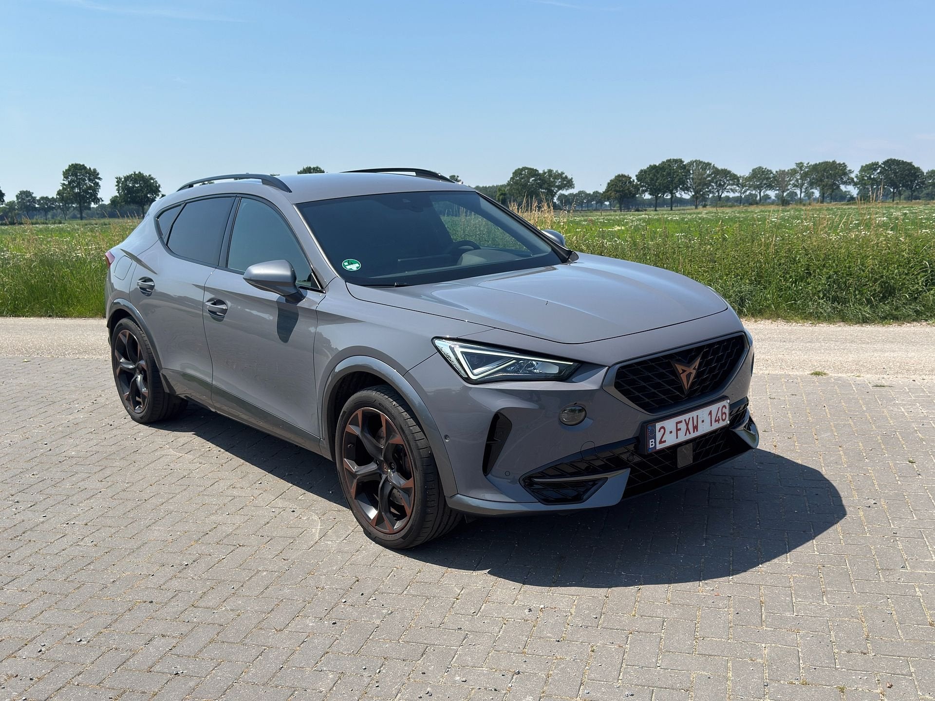 Cupra Formentor Cupra Formentor 1.4 Plug in E-Hybrid VZ 2021, Autos, Achat, Entreprise, Carnet d'entretien, 33 g/km