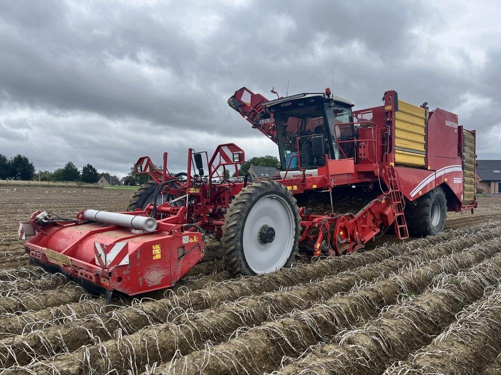 Arracheuse de pommes de terre Grimme Varitron 470 de 2019, Cultures, Moissonneuse