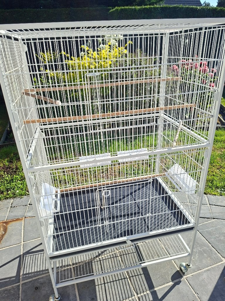 Grande cage blanche pour perruches, Ophalen, Zo goed als nieuw, Metaal, Vogelkooi