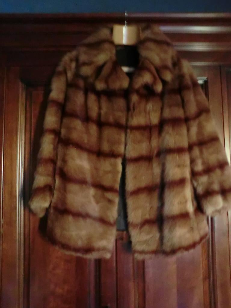 gilet en fourrure de renard, Enlèvement, Porté, Taille 46/48 (XL) ou plus grande, Brun