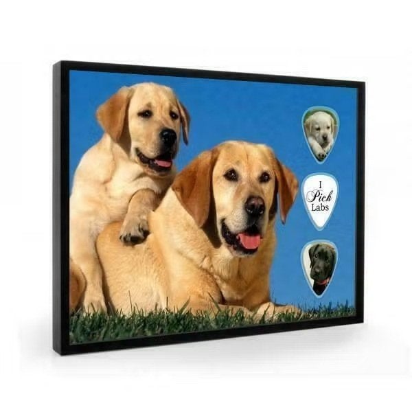 Labrador Retriever hond plectrumdisplay, Enlèvement ou Envoi, Neuf