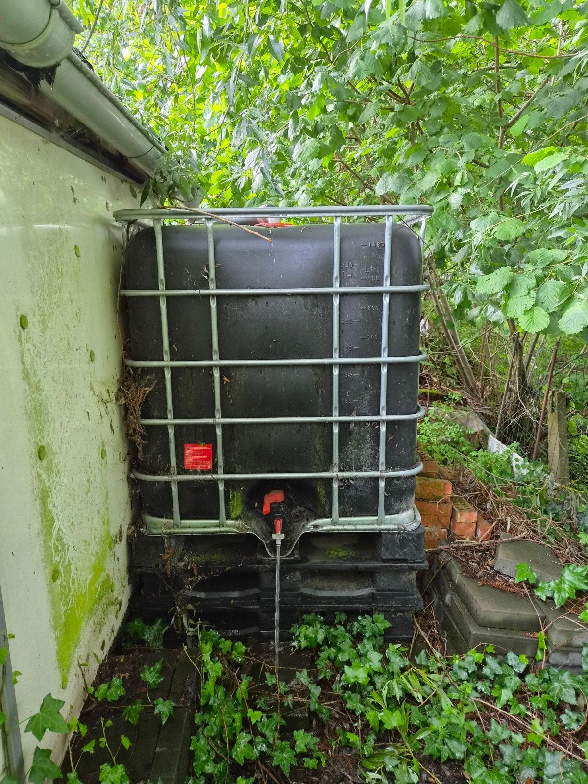 IBC 1000l + 2 plastic paletten en kraan, Ophalen, Kunststof
