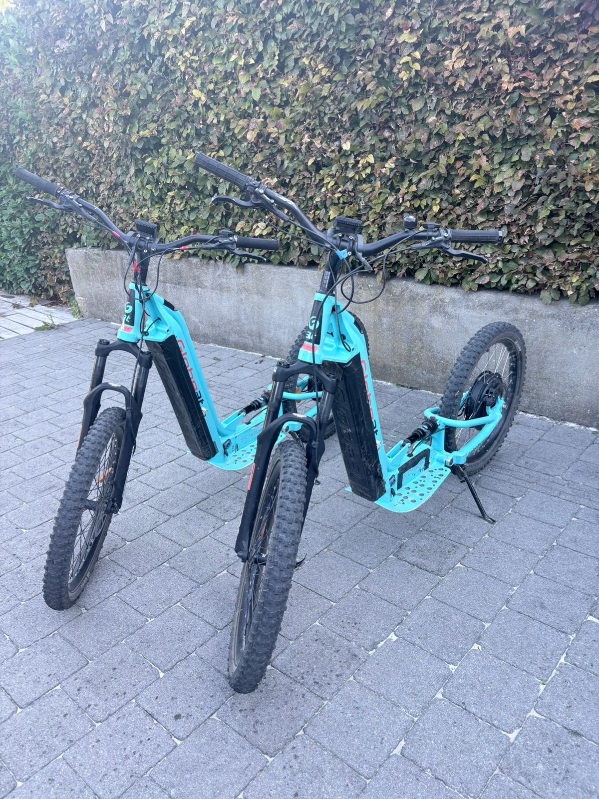 TROTTINETTE ELECTRIQUE TOUT TERRAIN GLOBE 3 T, Enlèvement, Utilisé, Frein à disque