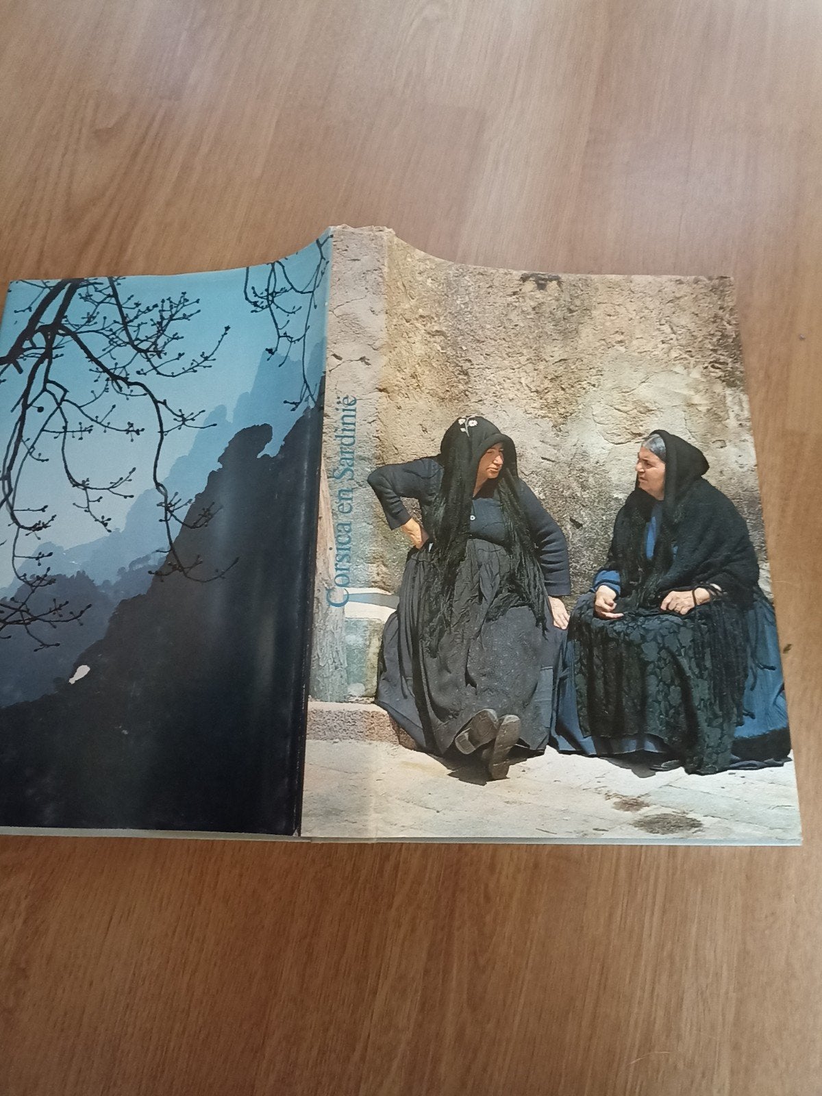 Corsica en Sardinië, Livres, Art & Culture | Arts plastiques, Enlèvement