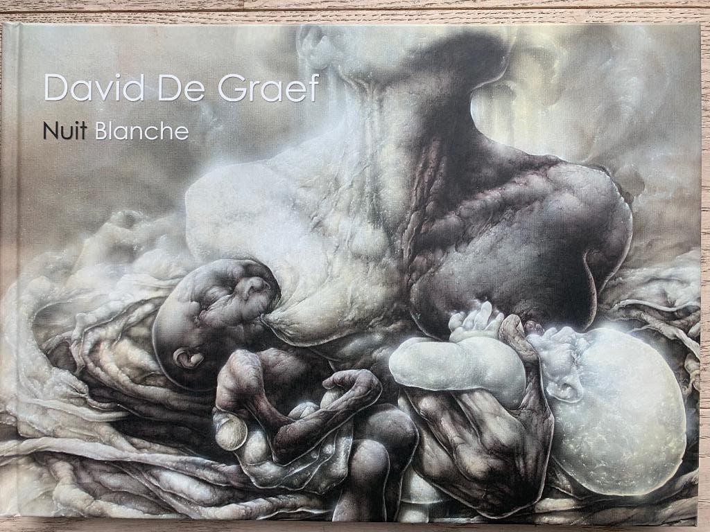 Kunstboek Nuit Blanche David De Graef gesigneerd & genummerd, Ophalen of Verzenden