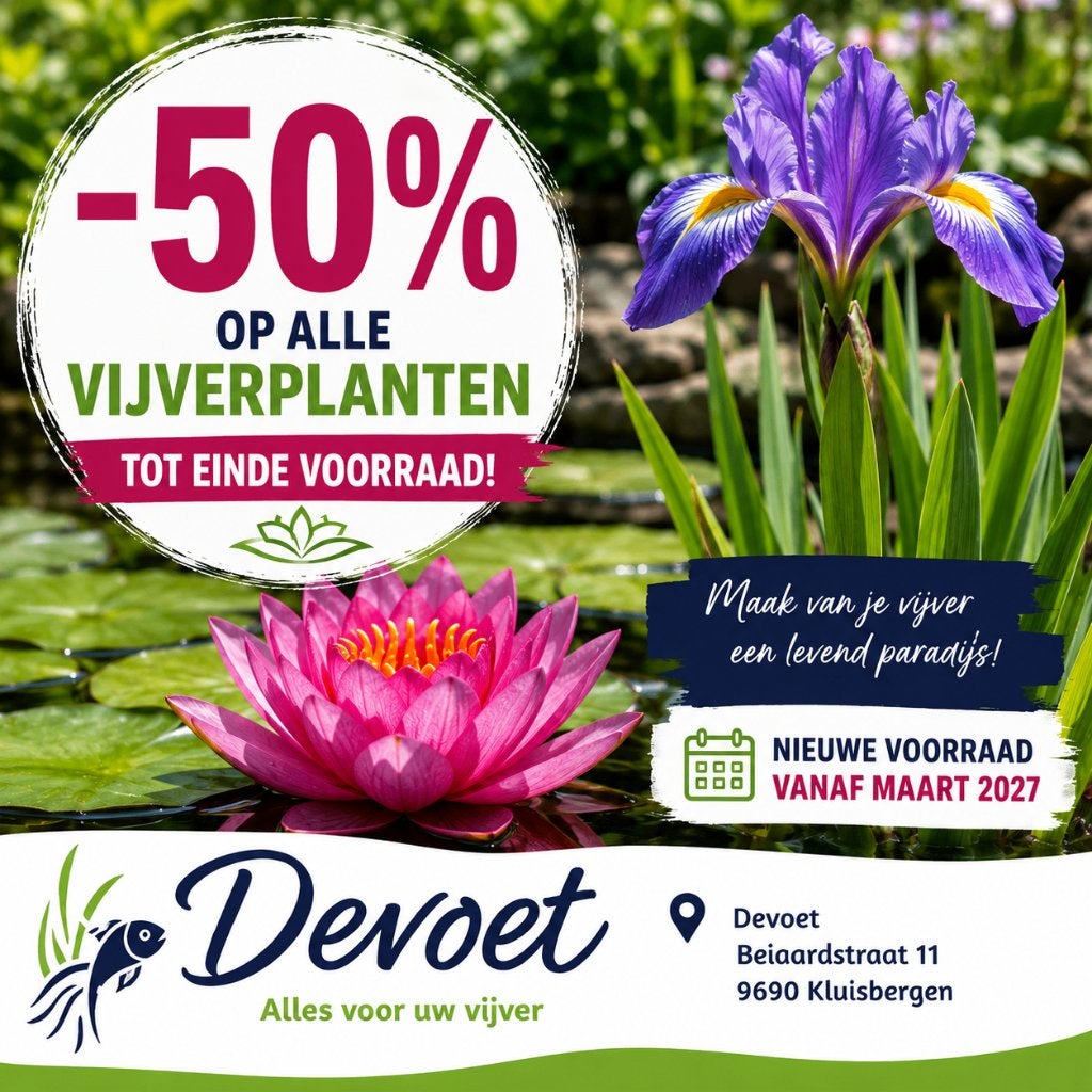 vijverplanten, zuurstofplanten , waterlelies, Tuin en Terras, Ophalen, Nieuw, Overige typen