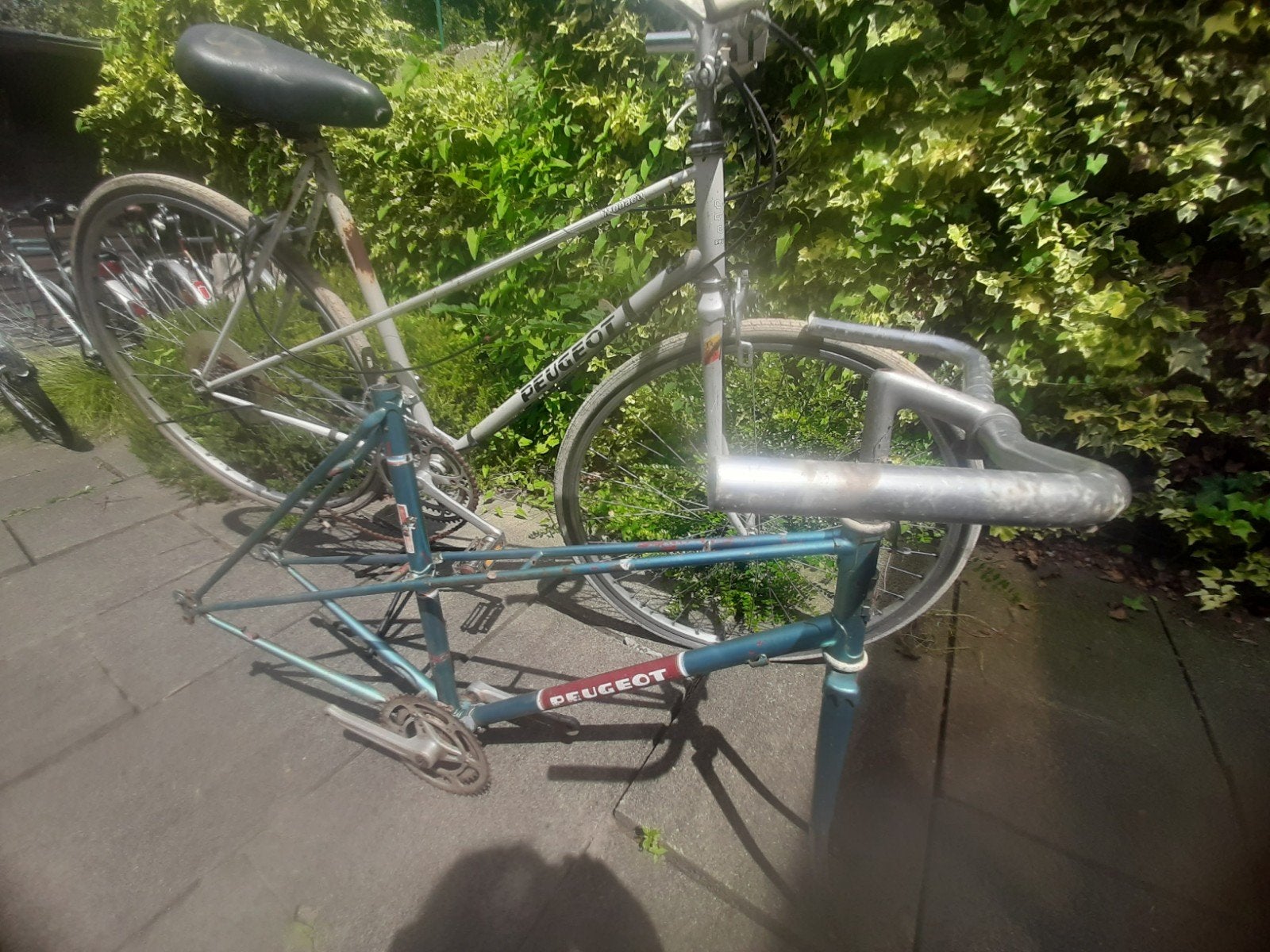 Vintage Peugeot damesfietsen, Ophalen
