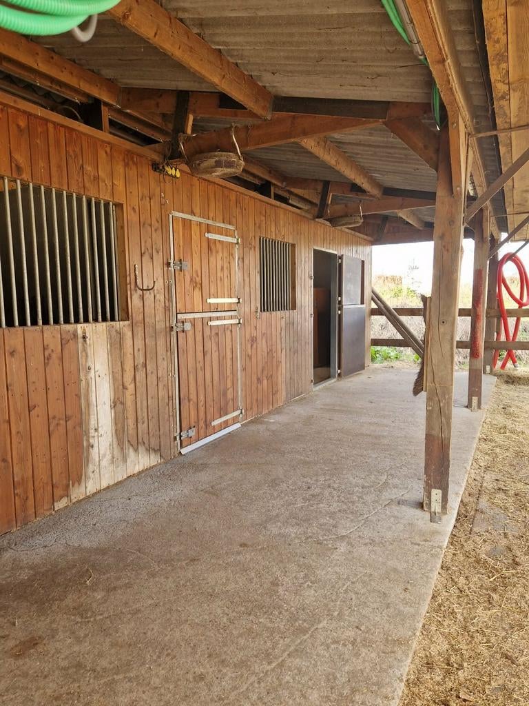 Ecurie 3 chevaux 6x12m + toit 4x12m, Mise à l'étable, 2 ou 3 chevaux ou poneys