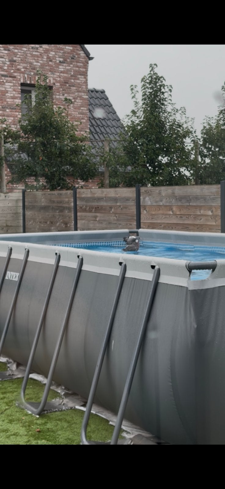 Intex ultra XTR, Tuin en Terras, 200 tot 300 cm, Zo goed als nieuw, Rechthoekig, Ophalen