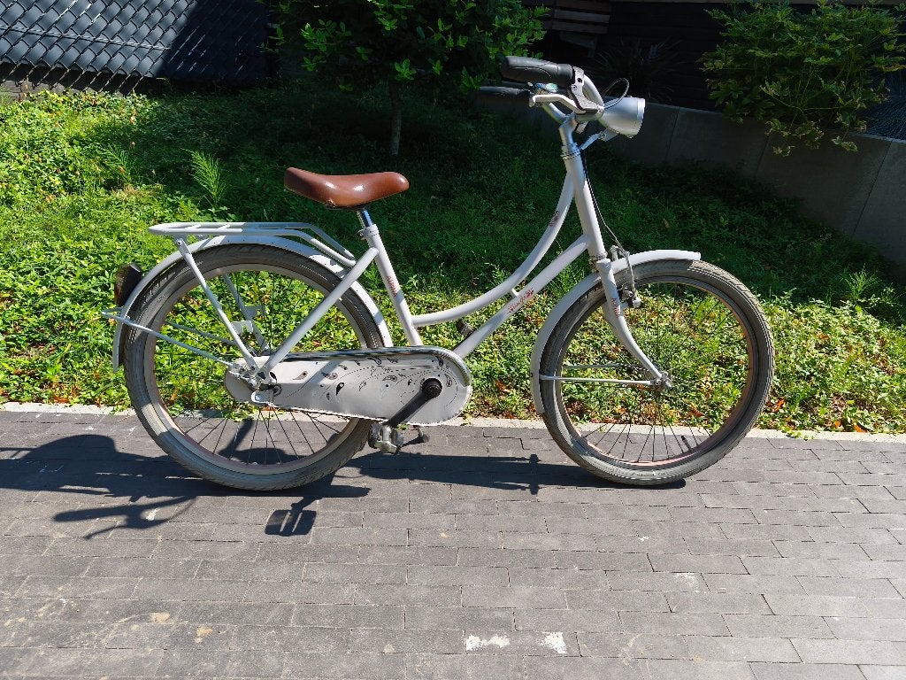 Alpina Tingle 22" kinderfiets – zeer goede staat, Ophalen, Terugtraprem, 22 inch, Gebruikt