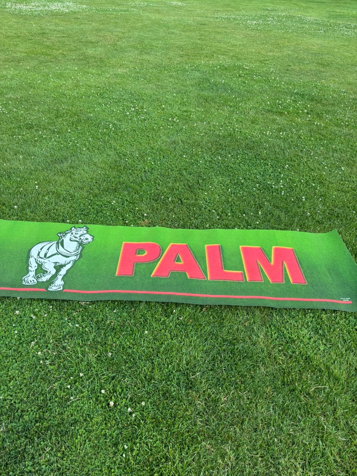 PALM banner 2meter op 60cm, Ophalen of Verzenden, Zo goed als nieuw, Palm