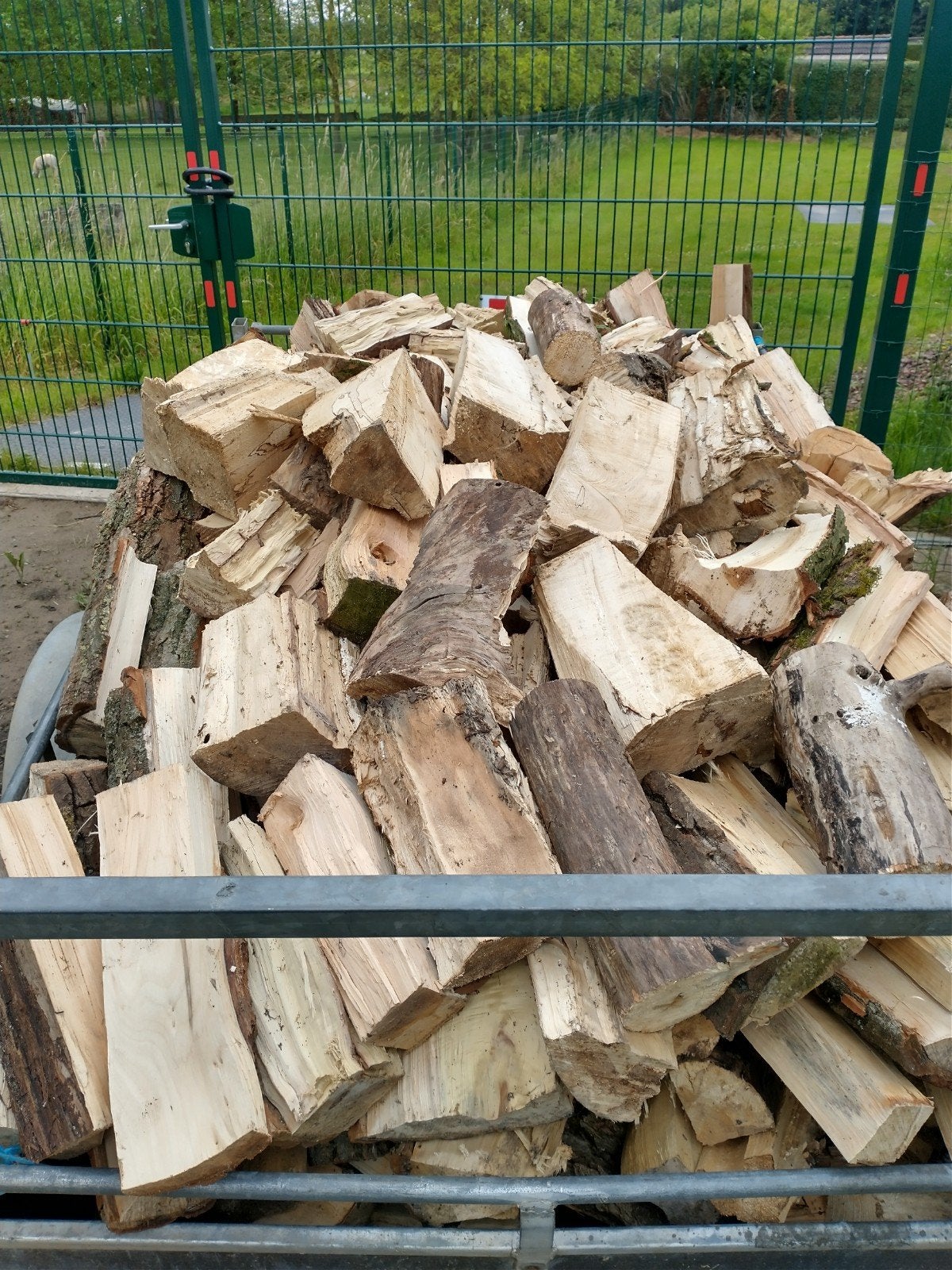 te koop brandhout kana wilg 75 € de kub afhalen, Tuin en Terras, Brandhout, Ophalen