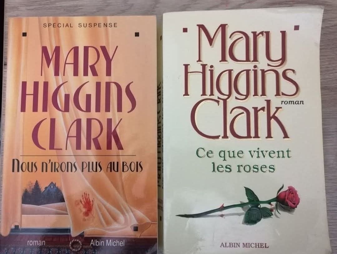 lot de 2 livres gros volumes, Enlèvement, Utilisé