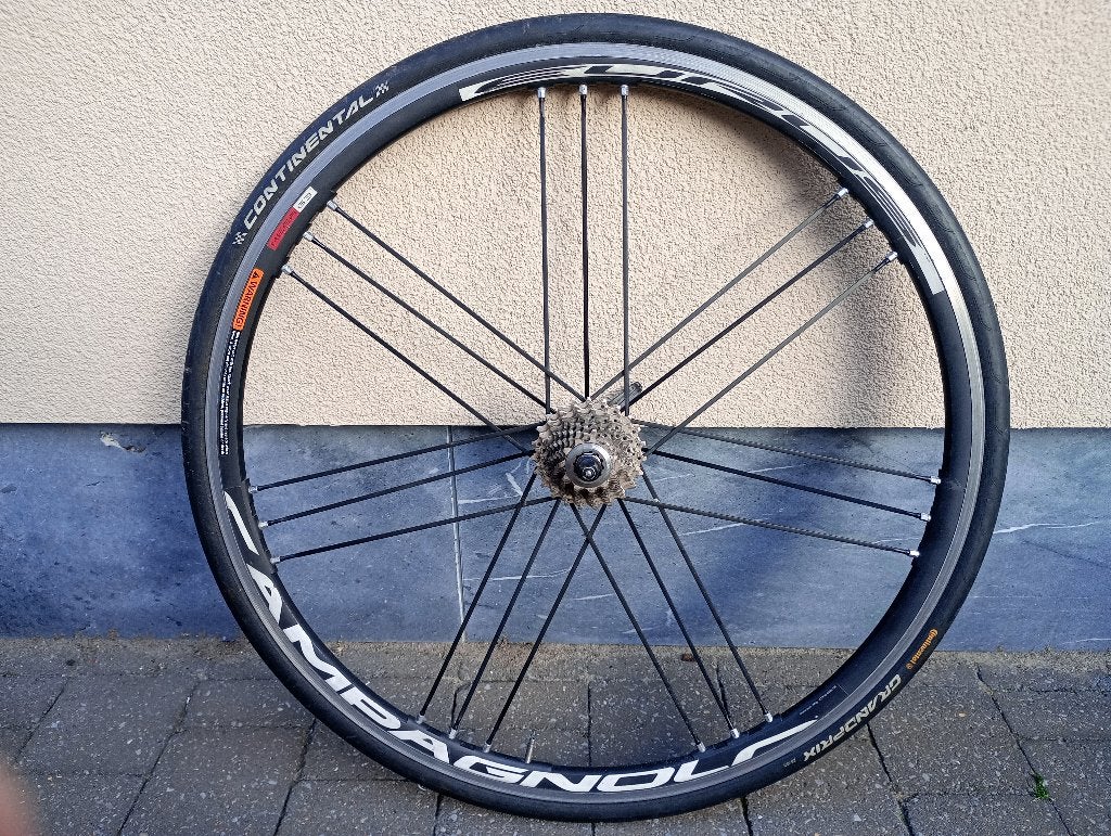 Campagnolo Eurus achterwiel, Fietsen en Brommers, Ophalen of Verzenden, Gebruikt, Racefiets, Wiel