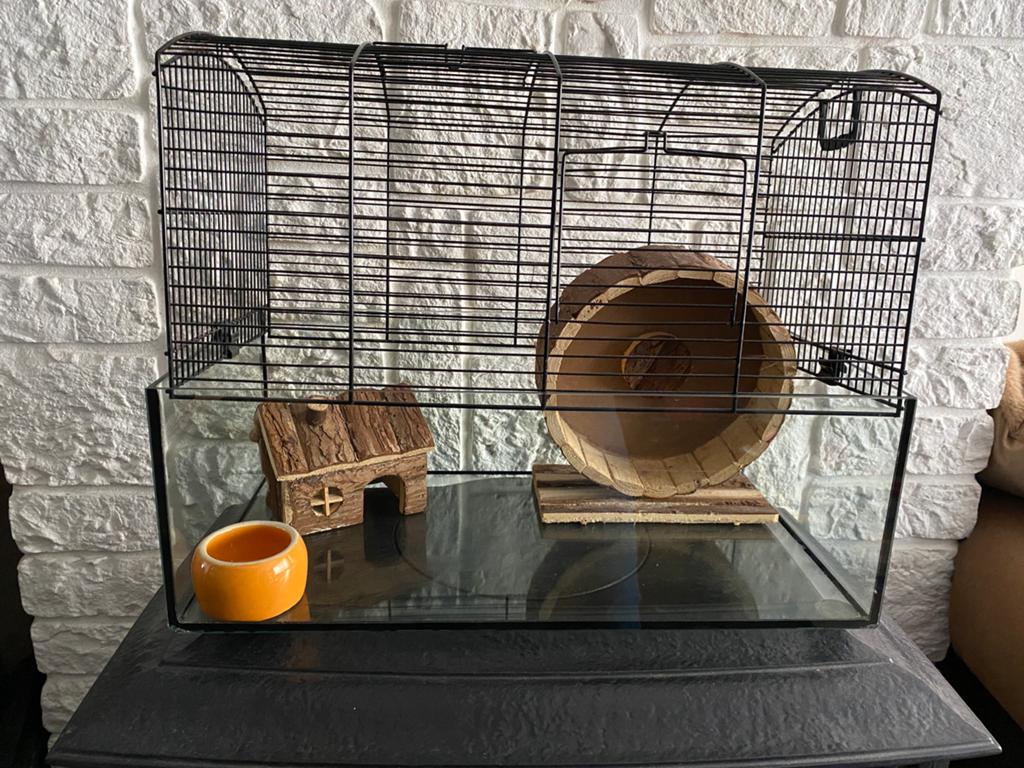 Hamsterkooi, Dieren en Toebehoren, Kooi, Gebruikt, Minder dan 75 cm, Muis