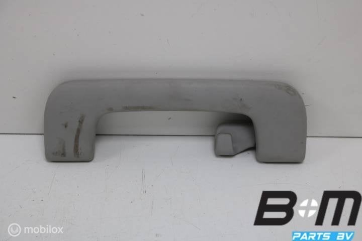 Handgreep in hemel linksachter Audi A4 8E B7 8E0857607D, Gebruikt