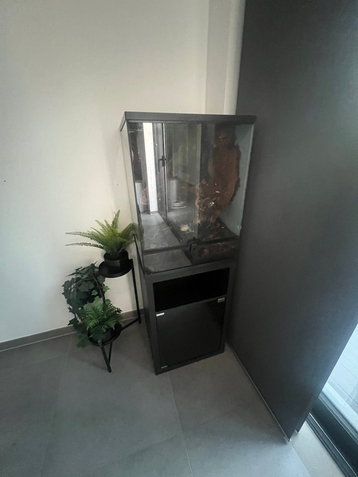 Repto terra terrarium, Dieren en Toebehoren, Ophalen, Zo goed als nieuw