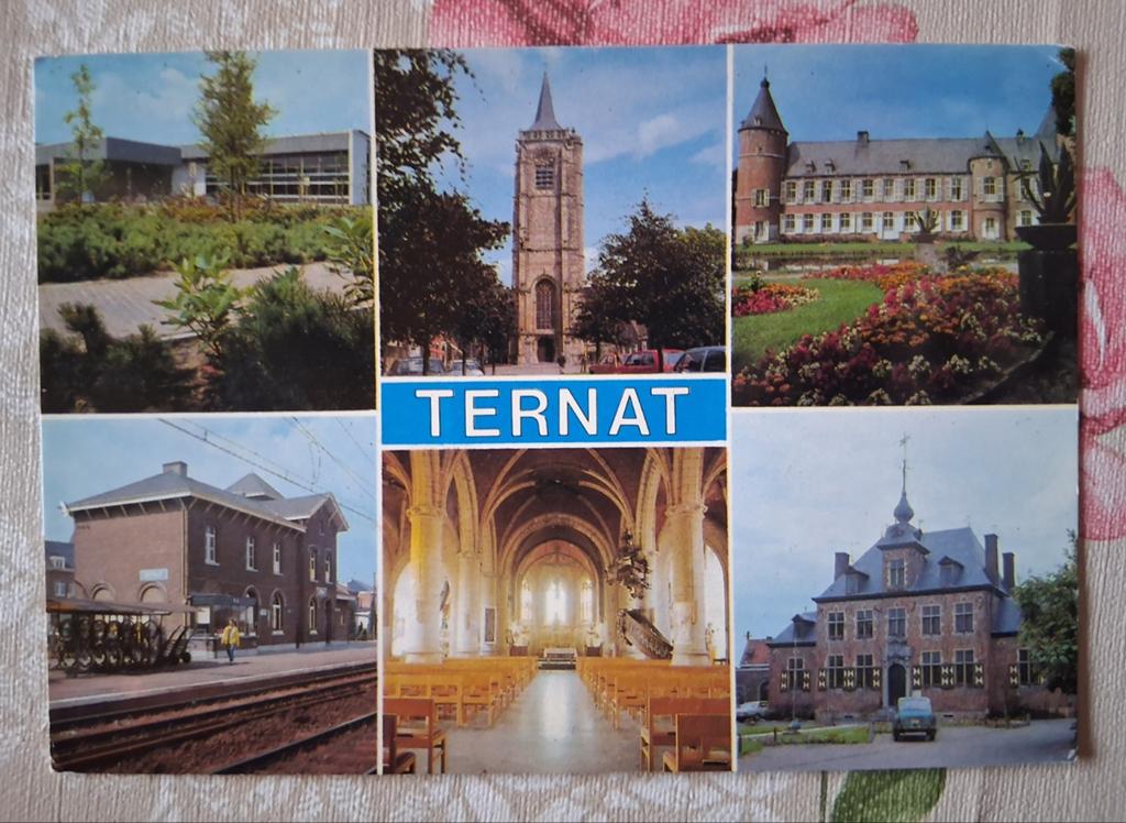 Postkaart Ternat, Enlèvement ou Envoi