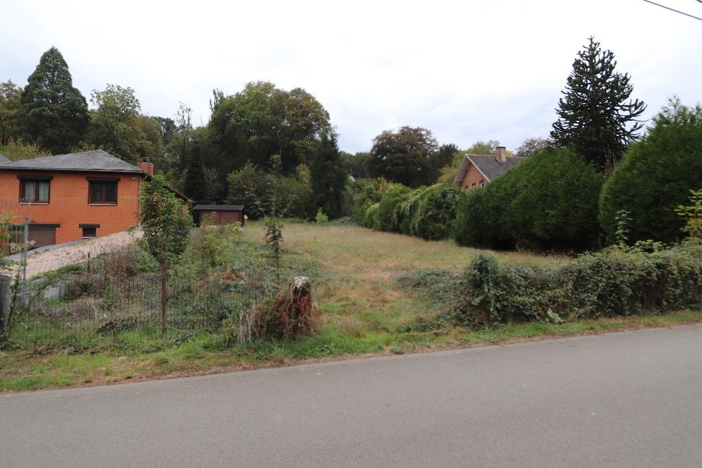 Magnifique terrain à bâtir de 16 ares en bord de Meuse, Immo, 1500 m² ou plus