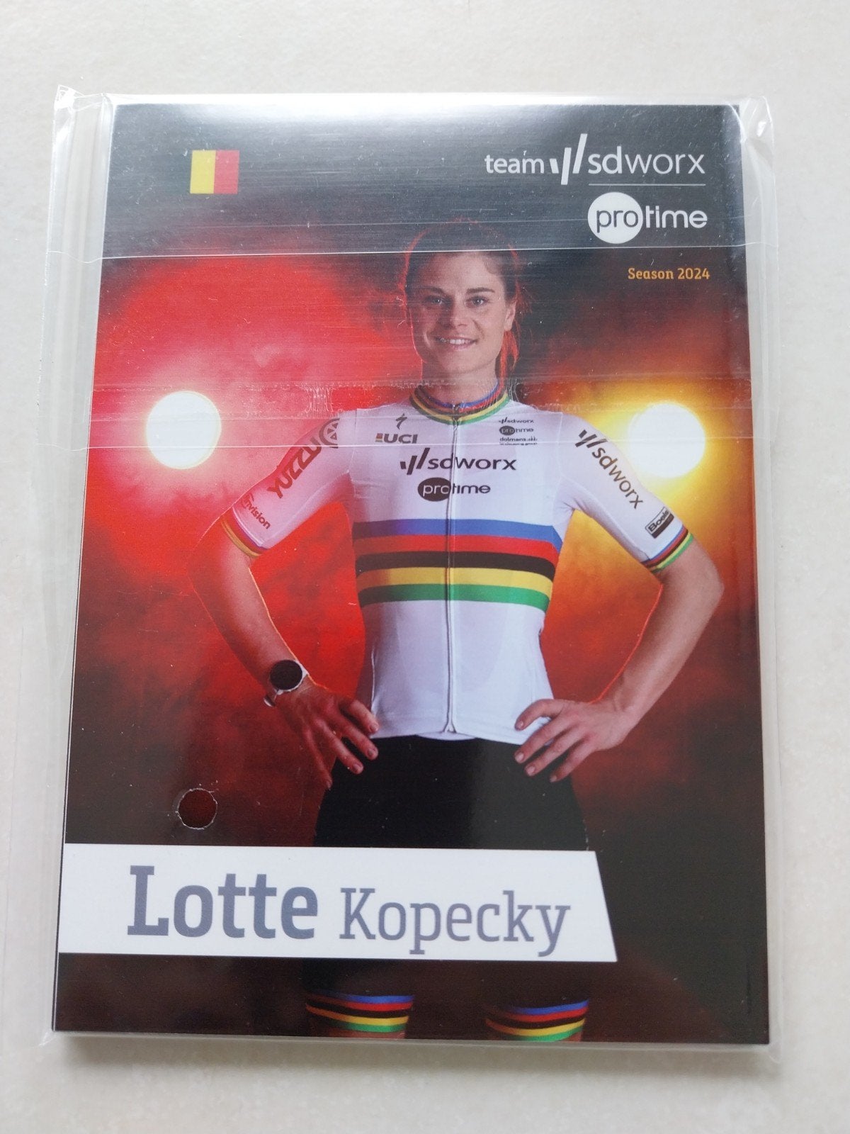 cartes postales (Team Sdworx 2024), Enlèvement, Neuf, Plusieurs images