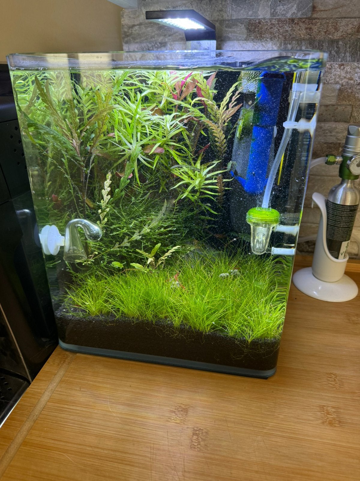 Nano aquarium tr koop, Animaux & Accessoires, Poissons | Aquariums & Accessoires, Comme neuf, Enlèvement, Poissons inclus, Chihiros