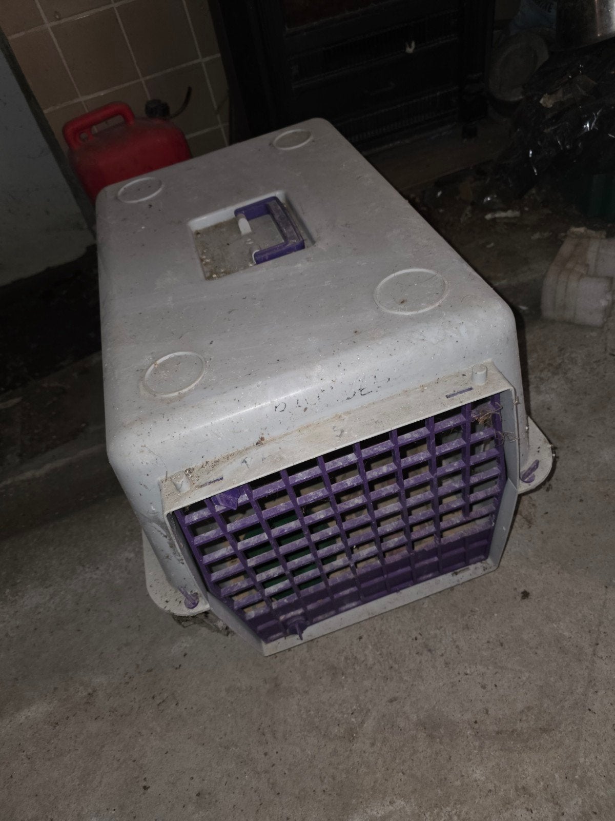 Cage de transport pour petit chien/chat, Enlèvement