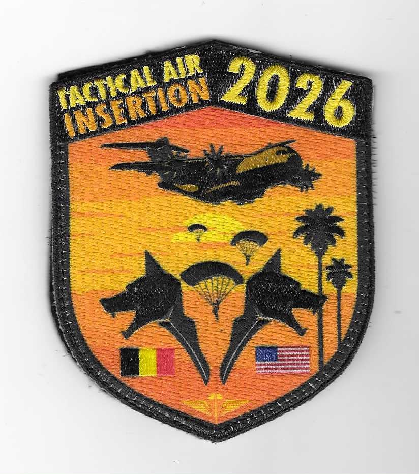 MILITARIA, Collections, Envoi, Armée de l'air, Emblème ou Badge