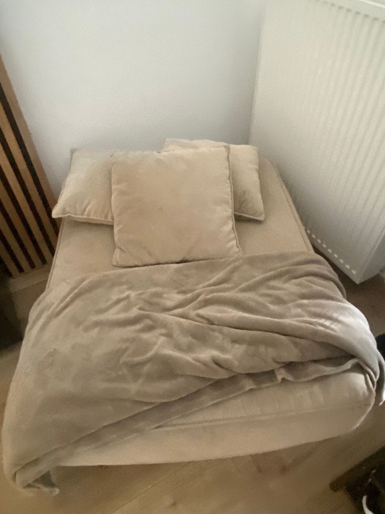 Canapé à donner, Maison & Meubles, 300 cm ou plus, Quatre personnes ou plus, Banc droit, Enlèvement