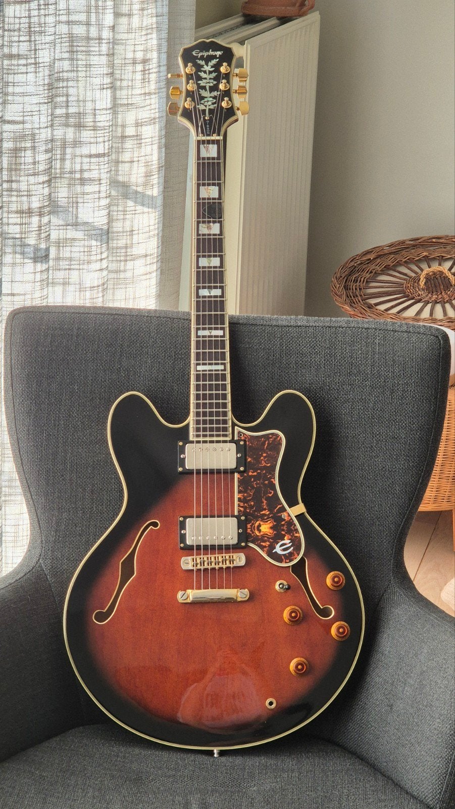 Epiphone Sheraton Korea, Enlèvement, Epiphone